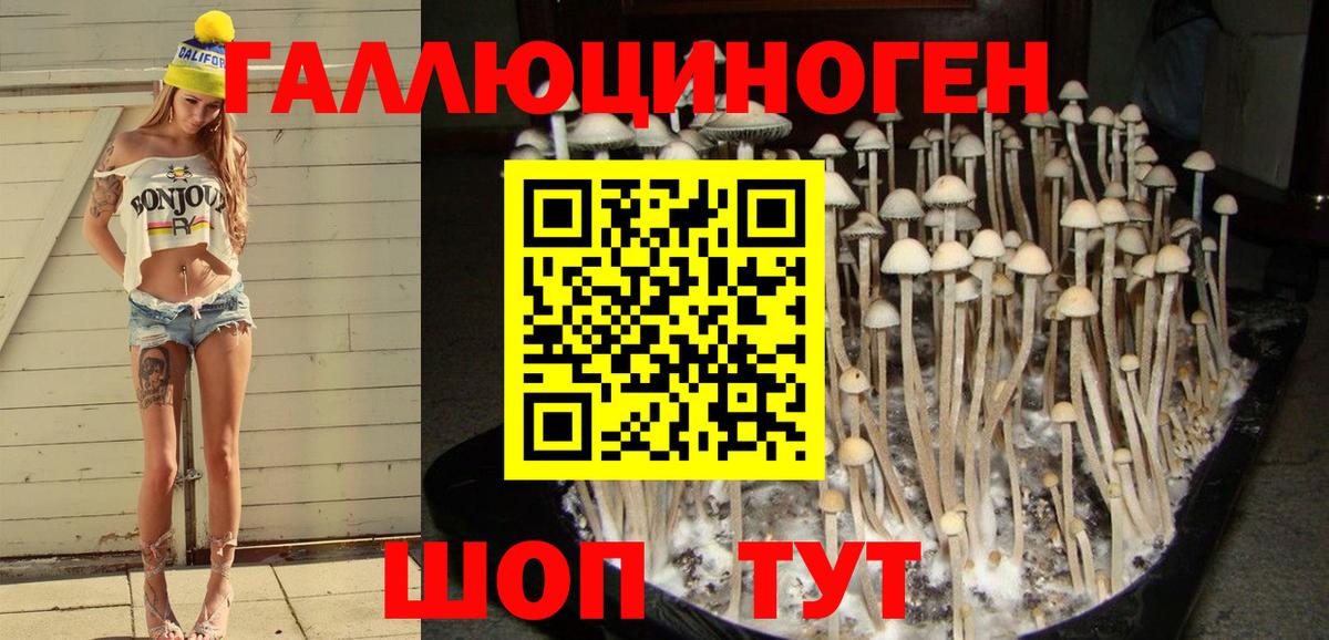 Псилоцибиновые грибы прущие грибы Камень-на-Оби
