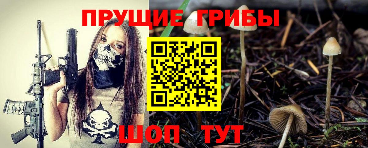 Галлюциногенные грибы GOLDEN TEACHER  Вход с VPN  Камень-на-Оби 